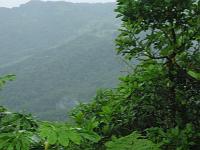 Martinique2003 063 